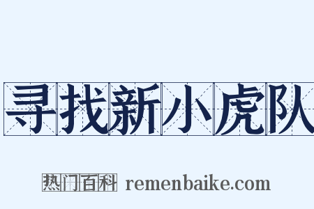 寻找新小虎队是什么意思的图片